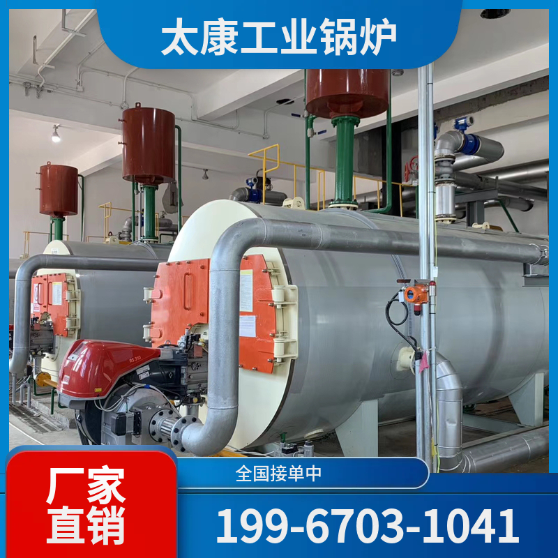 阳江链条锅炉