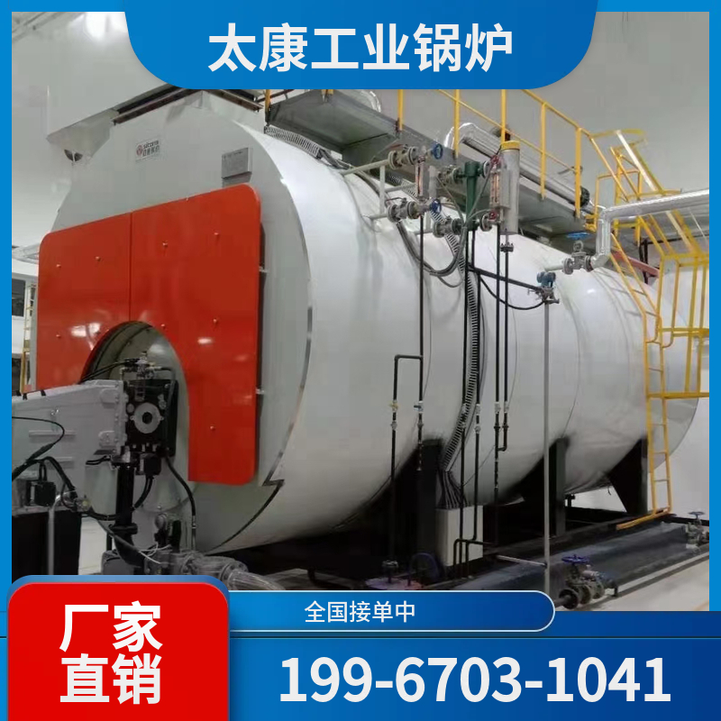阳江环保生物质锅炉