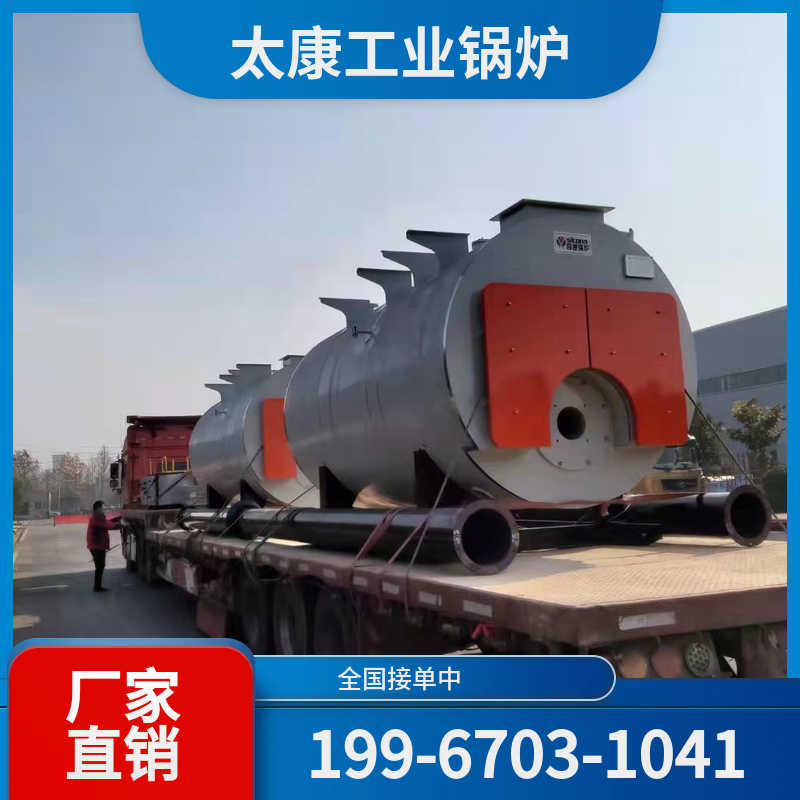 阳江生物质蒸汽锅炉